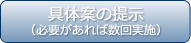 具体案の提示（必要があれば数回実施）